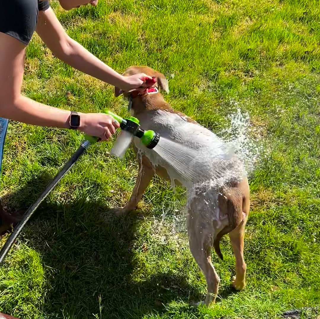 Spray de limpeza fácil e rápido para animais 