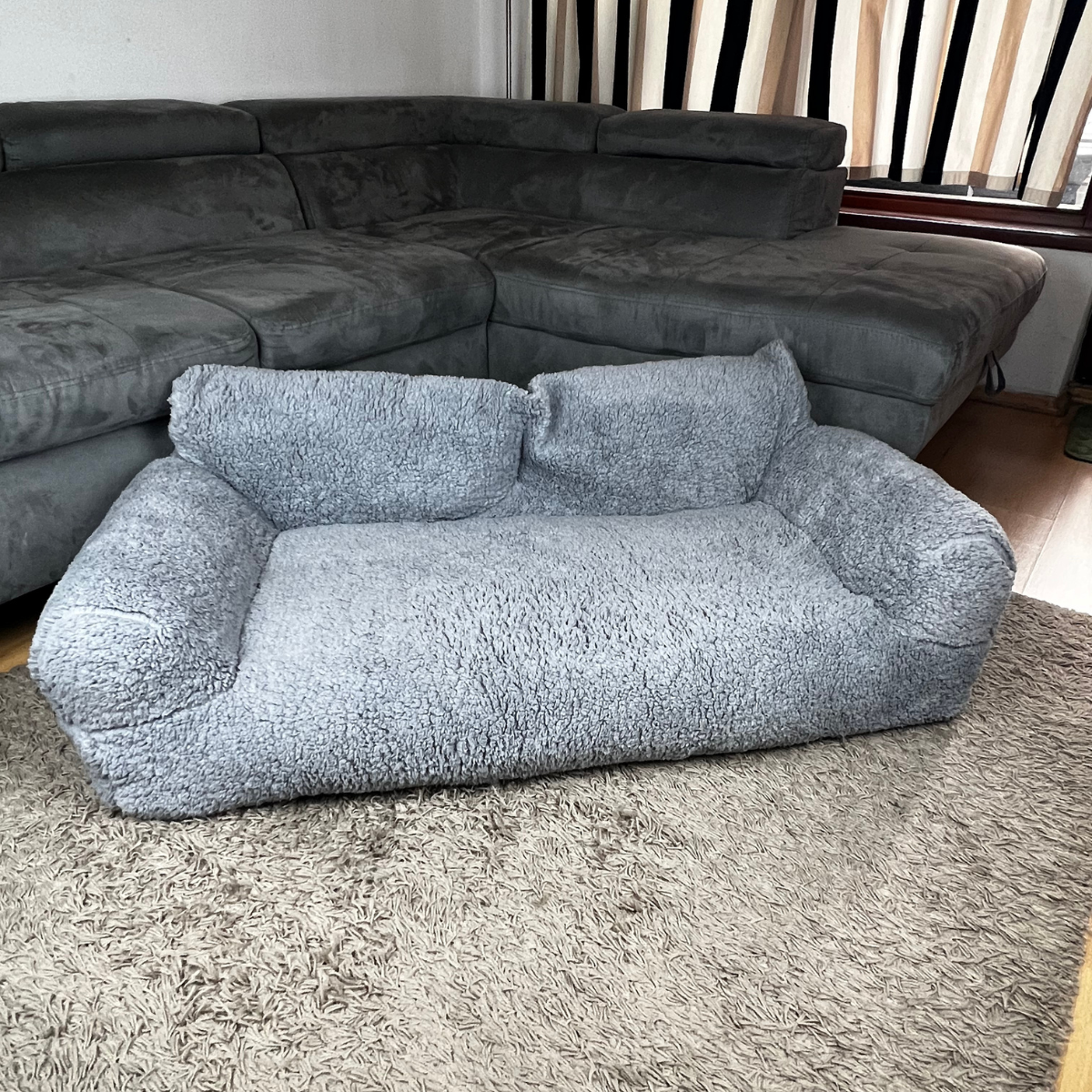 Uspokajająca sofa dla zwierząt - Komfort i spokój zapewnione 