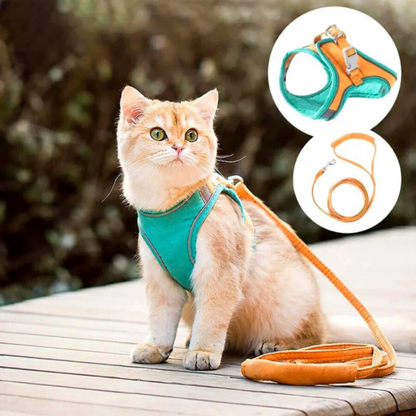 Arnés para gato confortável e seguro - Ideal para passeios 