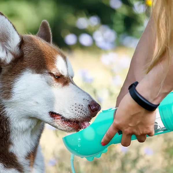 Garrafão 4-em-1 para hidratar e nutrir o seu cão 