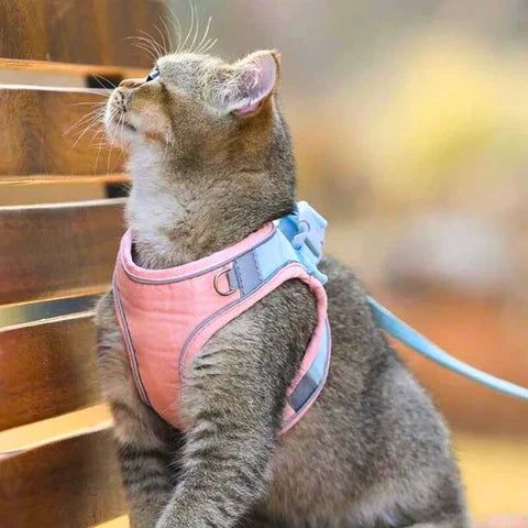 Arnés para gato confortável e seguro - Ideal para passeios 