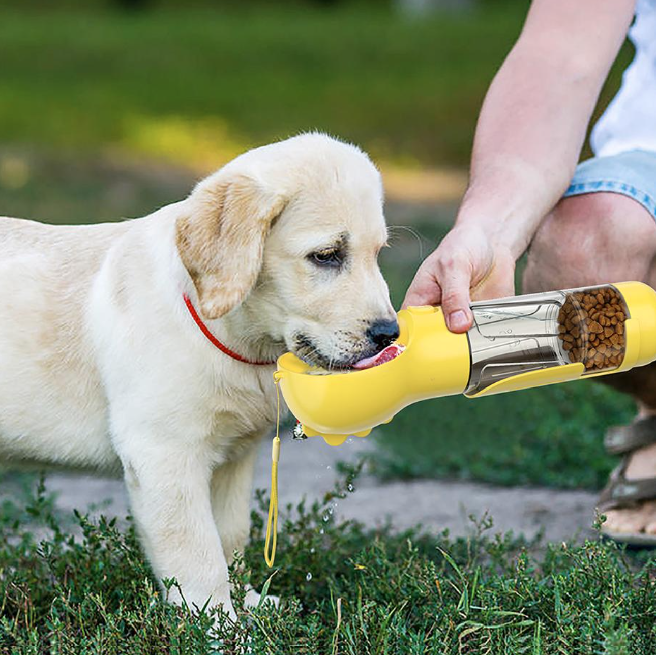 Garrafão 4-em-1 para hidratar e nutrir o seu cão 